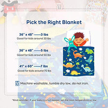 Load image into Gallery viewer, Sivio Kids Weighted Blanket & Removable Duvet Cover Set 100% Cotton Weighted Comforter with Glass Beads, 3lbs 36 × 48 inch, Minky Dotted Cover Machine Washable, Blue Dinosaur