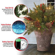 Load image into Gallery viewer, National Tree Company 'Feel Real' Pre-lit Artificial Christmas Urn Filler | Flocked with Mixed Decorations and Pre-strung LED Lights with Stand | Colonial - 18 Inch