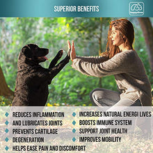 Load image into Gallery viewer, BEST HIP & JOINT SUPPLEMENTS FOR DOGS: Product of USA- Natural Pain Relief & Mobility + Аnti-inflammatory and Аnti-arthritic effects Maximum strength Glucosamine & Chondroitin approx/170 Soft Chews