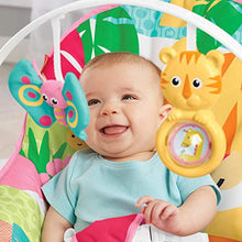 Load image into Gallery viewer, Fisher-Price Infant-to-Toddler Rocker