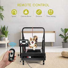Load image into Gallery viewer, PETSITE Dog Treadmill, Pet Dog Running Machine for Small & Medium-Sized Dogs, Pet Fitness Treadmill with 1.4'' LCD Display Screen, 200 LBS Capacity