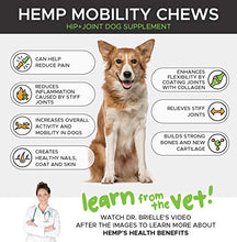 Load image into Gallery viewer, PetHonesty Hemp Hip & Joint Supplement for Dogs w/Hemp Oil & Hemp Powder - Glucosamine Chondroitin for Dogs w/Turmeric, MSM, Green Lipped Mussel, Dog Treats Improve Mobility,Reduces Discomfort - Bacon
