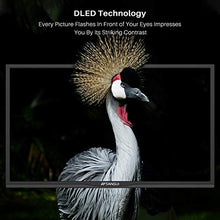 Load image into Gallery viewer, SANSUI 24 Inch TV 720P Basic S24 LED HD TV High Resolution Flat Screen Television Built-in HDMI,USB,VGA Ports - Refresh Rate 60Hz (2020 Model)