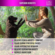 Load image into Gallery viewer, happyGree Best Calming Treats for Dogs: Product of USA- Helps with Hyperactive & Aggressive Behavior + Anxiety Composure Relief, Storms, Barking, Separation and More- approx/170 Soft Chews