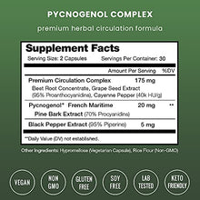 Load image into Gallery viewer, Pycnogenol Pine Bark - Premium Supplement with 200mg Herbal Complex for Circulation, Blood Flow & Nitric Oxide Production - Superior Absorption & Results with Black Pepper Extract