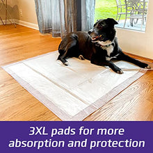Load image into Gallery viewer, Hartz Home Protection Odor Eliminating Scented Dog Pads, Super Absorbent & Won’t Leak, Lavender Scent, 3XL Size Pads, 60 Count
