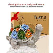Load image into Gallery viewer, Bundle of Solar Turtle and Gazing Ball om Column