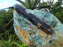 Load image into Gallery viewer, StarStuff.Rocks Mineral, Crystal, and Rock Collection: Authentic Minerals from Africa (Blue Kyanite in Fuschite)