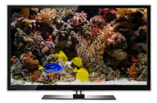 Load image into Gallery viewer, Ambient DVD - Fireplace and Tropical Aquarium - 2 Hours of HD Video Moods -with 25 Minutes Loops