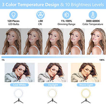 Load image into Gallery viewer, Selfie Ring Light with Tripod Stand, 10.2" Desktop LED Makeup Ring Light, Phone Holder for YouTube Video, Live Stream, Shooting, Dimmable Selfie Ring Light with 3 Light Modes & 14 Brightness Level