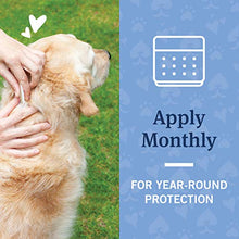 Load image into Gallery viewer, PetArmor Max Flea, Tick and Mosquito Prevention for Large Dogs (21 to 55 Pounds), 6 Monthly Treatments