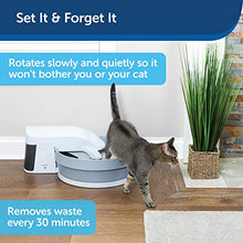 Load image into Gallery viewer, PetSafe Simply Clean Self-Cleaning Cat Litter Box, Automatic Litter Box for Cats, Works with Clumping Cat Litter