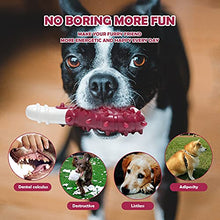 Load image into Gallery viewer, Strong Rubber Dental Toy for Your Dog Chewing, Nylon and Rubber Dog Bone Toy Reduces Boredom, Dog Teething Trainning Toys ,Chew Toys for LargeMediumSmall Puppies (Steak), 2.88inch-4.88inch