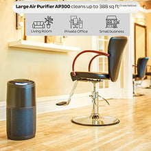 Load image into Gallery viewer, Instant Air Purifier, Helps remove 99.9% of viruses (COVID-19), bacteria, allergens, smoke; advanced 3-in-1 HEPA-13 filtration with plasma ion technology, Large Room (AP300), Charcoal