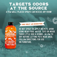 Load image into Gallery viewer, ANGRY ORANGE Pet Odor Eliminator for Home - 8oz Dog & Cat Urine Smell Remover - Citrus Concentrate - Makes a Gallon (128 oz)
