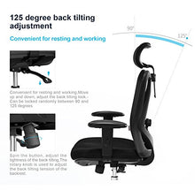 Load image into Gallery viewer, Sihoo Ergonomics Office Chair Computer Chair Desk Chair, Adjustable Headrests Chair Backrest and Armrest's Mesh Chair (Black)