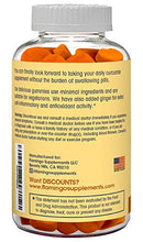 Load image into Gallery viewer, Turmeric Curcumin & Ginger Chewable Gummies for Adults and Children. Anti Inflammatory Supplement for Joint Relief. Vegan Friendly, Kosher & Halal, Gluten Free, Non GMO. 60 Count