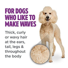 Load image into Gallery viewer, TropiClean PerfectFur Curly & Wavy Coat Shampoo for Dogs, 16oz - Made in USA - Naturally Derived - Curly & Wavy Coat Formula - Detangling & Dematting on Thick Fur & Wiry Breeds Like Poodles & Bichons