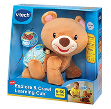 Load image into Gallery viewer, VTech Explore and Crawl Learning Cub