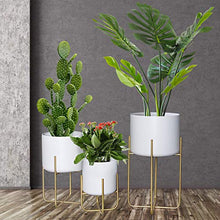 Load image into Gallery viewer, Floor Standing Planters with Metal Stand Pack of 3, White Plant Pot with Gold Metal Stand, Matches Mid Century Modern Living Rooms, Container Box for Patio, Deck, Porch, Garden, Lawn(White)