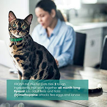 Load image into Gallery viewer, FRONTLINE Plus Flea and Tick Treatment for Cats (8 Doses)