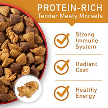 Load image into Gallery viewer, Purina ONE Natural Dry Dog Food, SmartBlend Chicken & Rice Formula - 40 lb. Bag