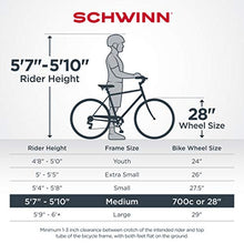 Load image into Gallery viewer, Schwinn Wayfarer Adult Bike Hybrid Retro-Styled Crusier, 18-Inch/Medium Steel Step-Over Frame, 7-Speed Drivetrain, Rear Rack, 700C Wheels, Black