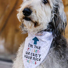 Load image into Gallery viewer, Kimberbell Playful Pet Kerchiefs Machine Embroidery Designs CD, Includes: 8 Different Designs - Each Comes in 4 Sizes, for Animals Large to Extra Small, Hoop Sizes: 4x4” and 5x7”, Patterns for Pets