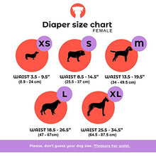 Load image into Gallery viewer, PETTING IS CARING Dog Washable Diapers & Reusable Female Dog Diapers Materials Durable Machine Washable Simple Solution for Pets Incontinence Long Travels Pants - 3 Pack Set Size (M)