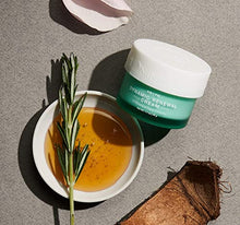 Load image into Gallery viewer, NATUREWELL Day and Night Dynamic Renewal Cream, Hydrates, Restores Radiance, Plumps, Softens, & Reduces the Appearance of Fine Lines with 33 Botanical Super Complex, For Face & Neck, 1.7 Oz