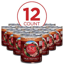 Load image into Gallery viewer, Purina ONE Natural, High Protein Gravy Wet Dog Food, SmartBlend True Instinct Turkey & Game Bird - (12) 13 oz. Cans