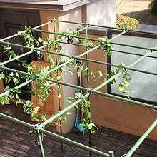 Load image into Gallery viewer, Pack of 25 Garden Stakes Sturdy Plant Sticks Plastic Coated Plant Stakes Support Metal Tomato Stakes for Cucumber, Strawberry, Beans, Trees (48 Inch)