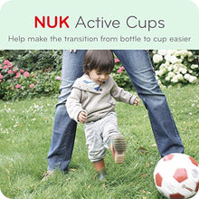 Load image into Gallery viewer, NUK Disney Active Sippy Cup, Winnie the Pooh, 10oz 1pk