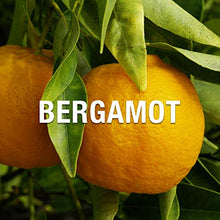 Load image into Gallery viewer, Liz Claiborne Bora Bora Cologne Spray For Men, Daytime Fragrance with Lime & Sandalwood Notes, 3.3 oz