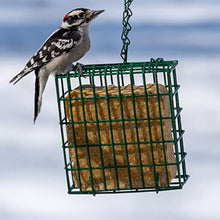 Load image into Gallery viewer, C&S Wild Bird High Energy Suet Treat 56 Ounces, 6 Pack
