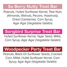 Load image into Gallery viewer, Blue Seal Premium Songbird Treat Wild Bird Bar - Variety 6 Pack