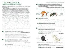 Load image into Gallery viewer, Common Bees of Eastern North America (Princeton Field Guides, 123)
