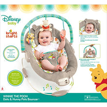 Load image into Gallery viewer, Disney Baby Winnie The Pooh Bouncer, Dots and Hunny Pots