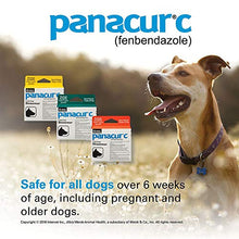 Load image into Gallery viewer, Panacur C Canine Dewormer (Fenbendazole), 4 Gram