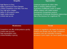 Load image into Gallery viewer, Tile Dealer SWOT Analysis Plus Business Plan