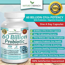 Load image into Gallery viewer, 60 Billion Probiotics for Women, Probiotics for Men - Guaranteed 10 Strains - Prebiotics & Digestive Enzymes, One A Day Supplement with Lactobacillus Acidophilus, Renew Mood Health - 30 Vegan Capsules