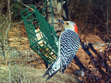 Load image into Gallery viewer, C&S Wild Bird High Energy Suet Treat 56 Ounces, 6 Pack