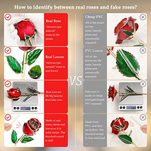 Load image into Gallery viewer, 24k Gold Dipped Real Rose, Gifts for Wife/Mom, Forever 24k Rose with Crystal Stand, Handmade Gifts for Women on Birthday Anniversary Valentines Day Mothers Day