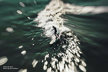 Load image into Gallery viewer, Lensbaby Composer Pro II with Sweet 50 Optic for Sony E
