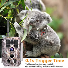 Load image into Gallery viewer, BlazeVideo WiFi Deer & Trail Game Camera 32MP 1296P No Glow Night Vision Time Lapse Waterproof Motion Activated Photo & Video Model for Wildlife Scouting Hunting & Home or Backyard Security