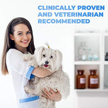 Load image into Gallery viewer, Forticept Maxi-Wash Antiseptic Antifungal Antibacterial Medicated Itch Relief Hot Spot Spray for Dogs & Cats|First Aid Skin and Paw Cleanser | Wounds Treatment 8 oz