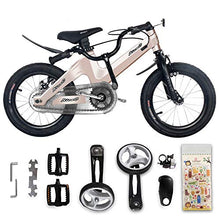 Load image into Gallery viewer, NiceC BMX Kids Bike with Dual Disc Brake for Boy and Girl 12-14-16-18 inch Trainin sg Wheels (14" Champagne)