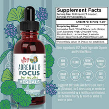 Load image into Gallery viewer, Nootropic Focus Supplement for Adults | USDA Organic Brain Supplement with Ginkgo Biloba & Astragalus | Focus & Adrenal Support | Brain and Memory Drops | Vegan | Non-GMO | Gluten Free | 30 Servings
