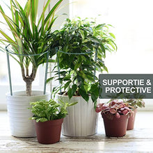 Load image into Gallery viewer, CKE 20 Pack 4mm Plant Support Stakes, Metal Peony Support, Garden Plant Cage Stake Support, Plant Support Ring, Green Half Round Plant Support Ring for Peony, Tomato, Rose, Vine Plant 10" W x 15.8" H