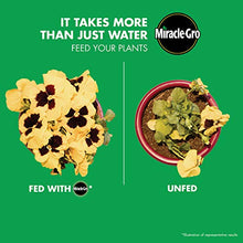 Load image into Gallery viewer, Miracle-Gro Water Soluble All Purpose Plant Food, 3 lb